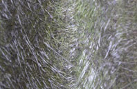 Isfield fibreglass roof work